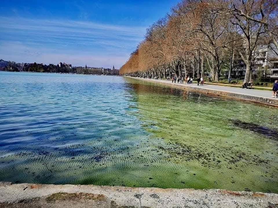 안시 La Petite Venise Des Alpes, Ultra Centre 1 A 5 Pers 아파트 외부 사진